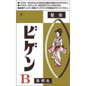 ビゲンＢ黒褐色　6g 1個