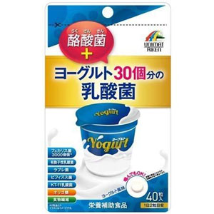 ヨーグルト30個分の乳酸菌 +酪酸菌