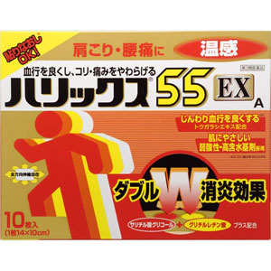 ハリックス55EX温感A 10枚入 1個