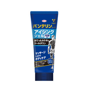 バンテリンコーワアイシングジェル 200g 1個
