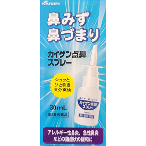 カイゲン点鼻スプレー 30ml 1個