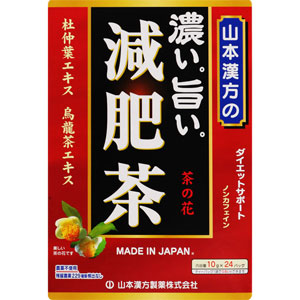 山本漢方 濃い旨い 減肥茶 〈ティーバッグ〉 10g×24包 1個
