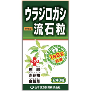 山本漢方 ウラジロガシ流石粒 240粒 1個