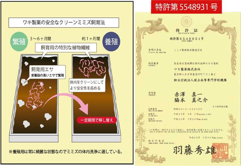 龍寿 ボトルタイプ 180カプセル Hlp末 ミミズ乾燥粉末 1カプセル中 25mg含有 1個 彡くすりの三井彡 ネットショップくすりの三井 龍寿 ボトルタイプ 180カプセル Hlp末 ミミズ乾燥粉末 1カプセル中 25mg含有 1個 彡くすりの三井彡 ネットショップくすりの三井
