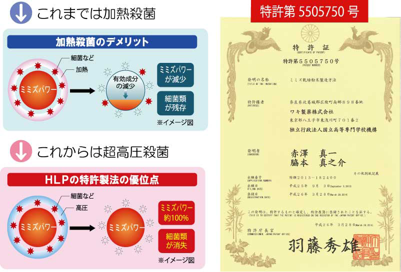 龍寿 ボトルタイプ 180カプセル Hlp末 ミミズ乾燥粉末 1カプセル中 25mg含有 1個 彡くすりの三井彡 ネットショップくすりの三井 龍寿 ボトルタイプ 180カプセル Hlp末 ミミズ乾燥粉末 1カプセル中 25mg含有 1個 彡くすりの三井彡 ネットショップくすりの三井