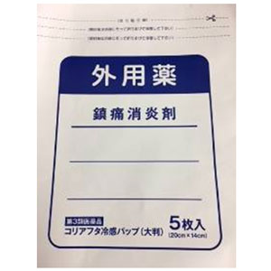 コリアフタ冷感パップ 大判 5枚入 1個