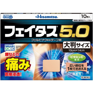 フェイタス5.0 大判サイズ 10枚入 1個