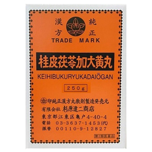 杉原達二商店 桂皮茯苓加大黄丸 250g 1個