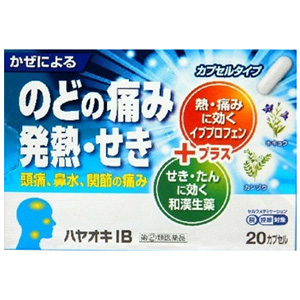 ハヤオキIB