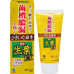 薬用 生葉EX 100g 1個