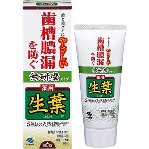 生葉 無研磨タイプ 95g 1個 