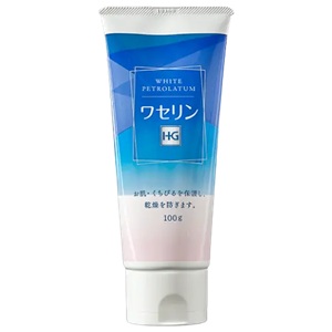 大洋製薬 ワセリンHGチューブ 100g 1個