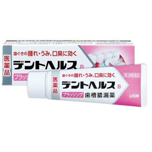 デントヘルスB ブラッシング歯槽膿漏薬 45g 1個