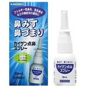 カイゲン点鼻スプレー 30ml  1個