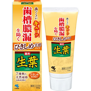 薬用 生葉 ひきしめ実感タイプ 100g 1個